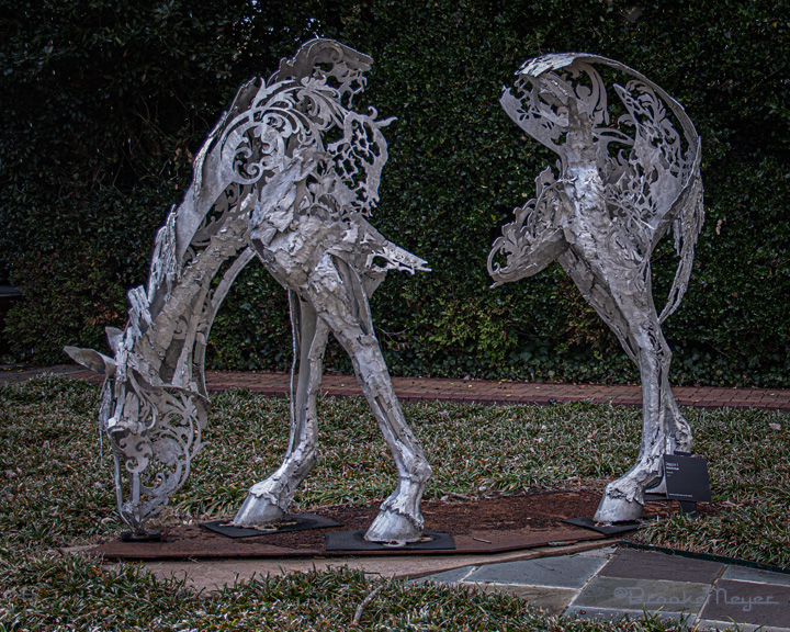 Winter Garden Sunday